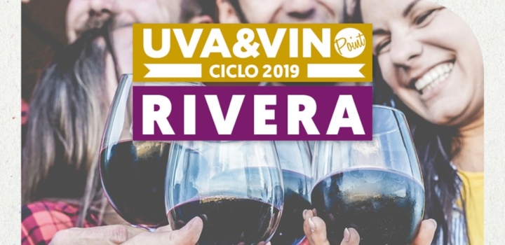 Imagen Uva y Vino Point Rivera