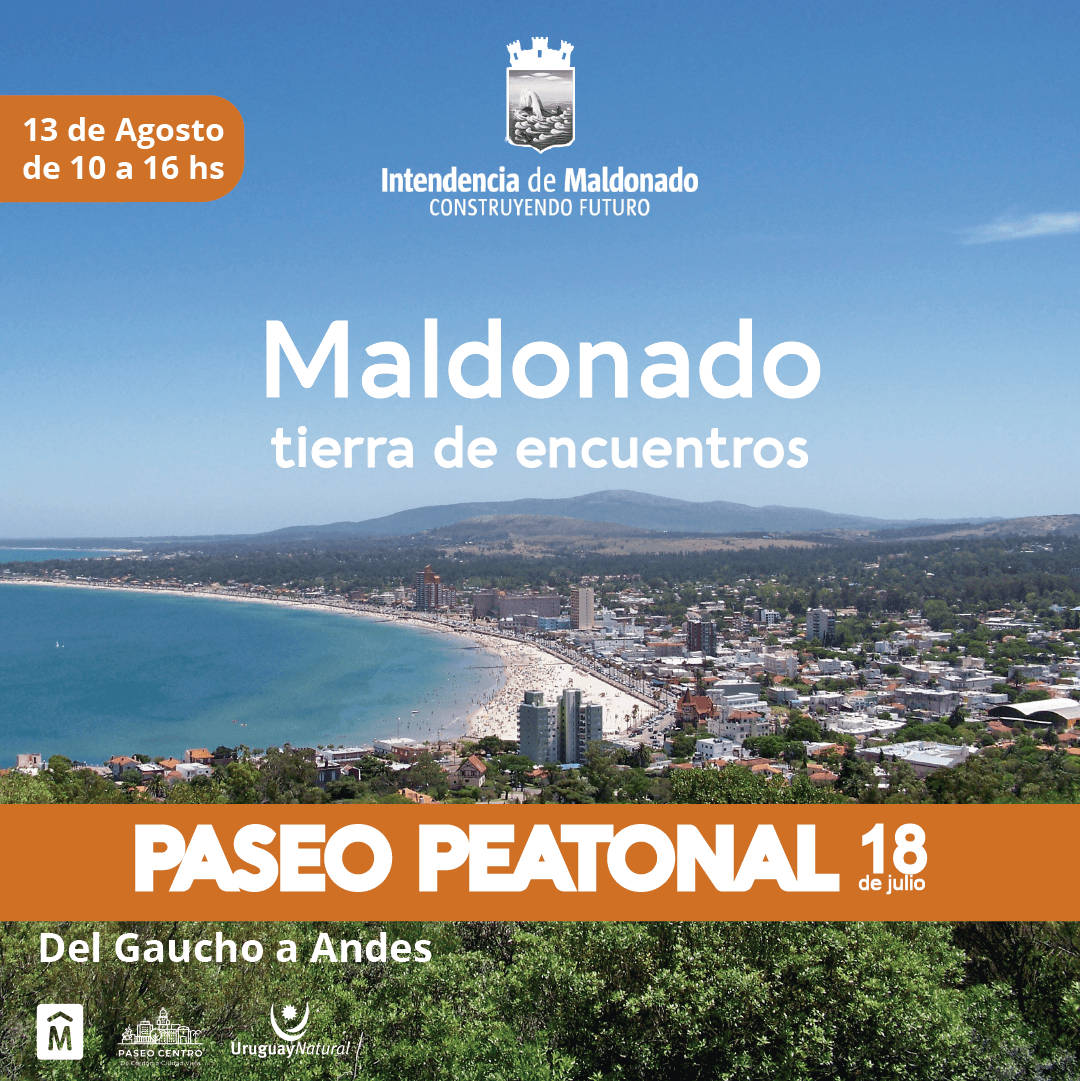 Actividades Paseo Centro Agosto