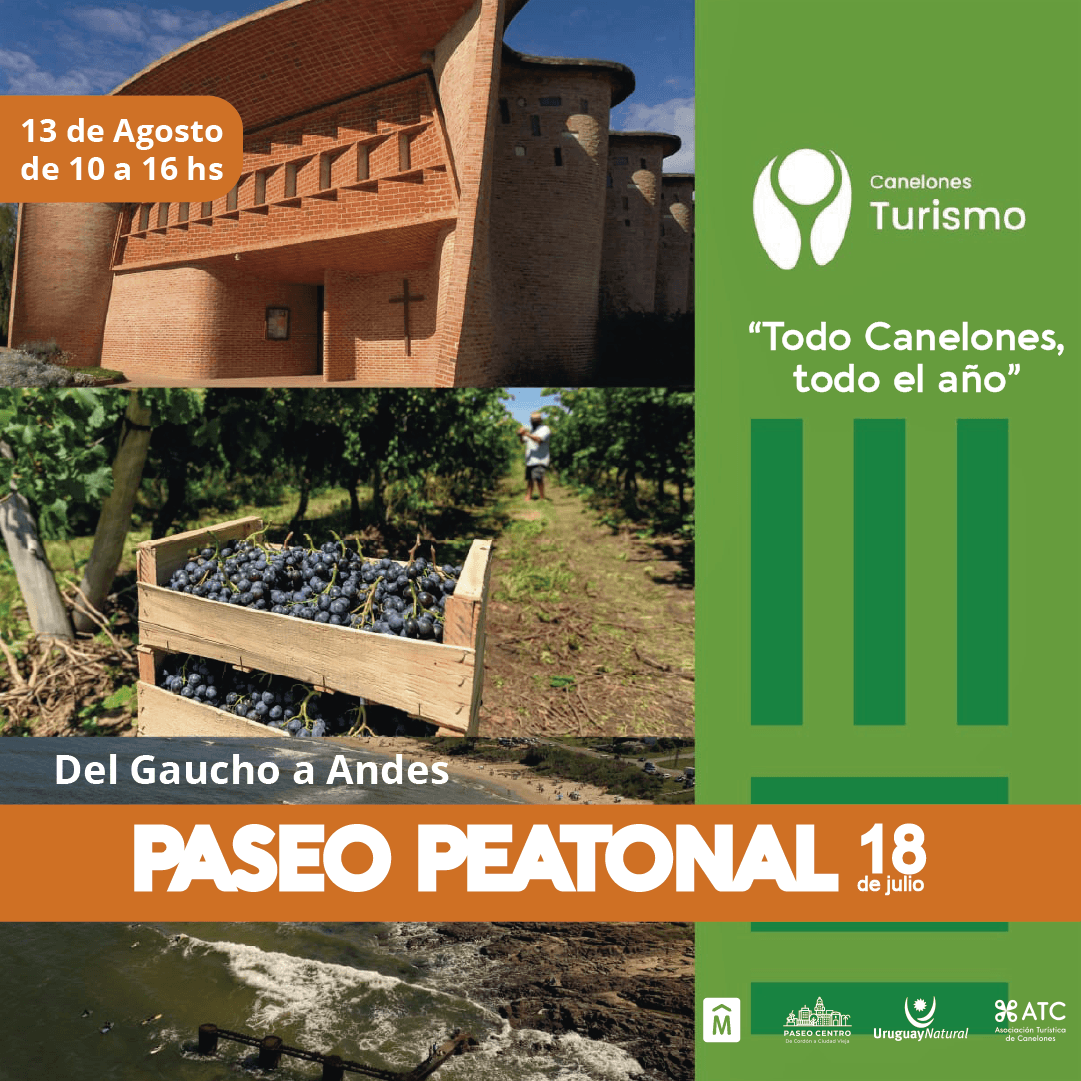 Actividades Paseo Centro Agosto