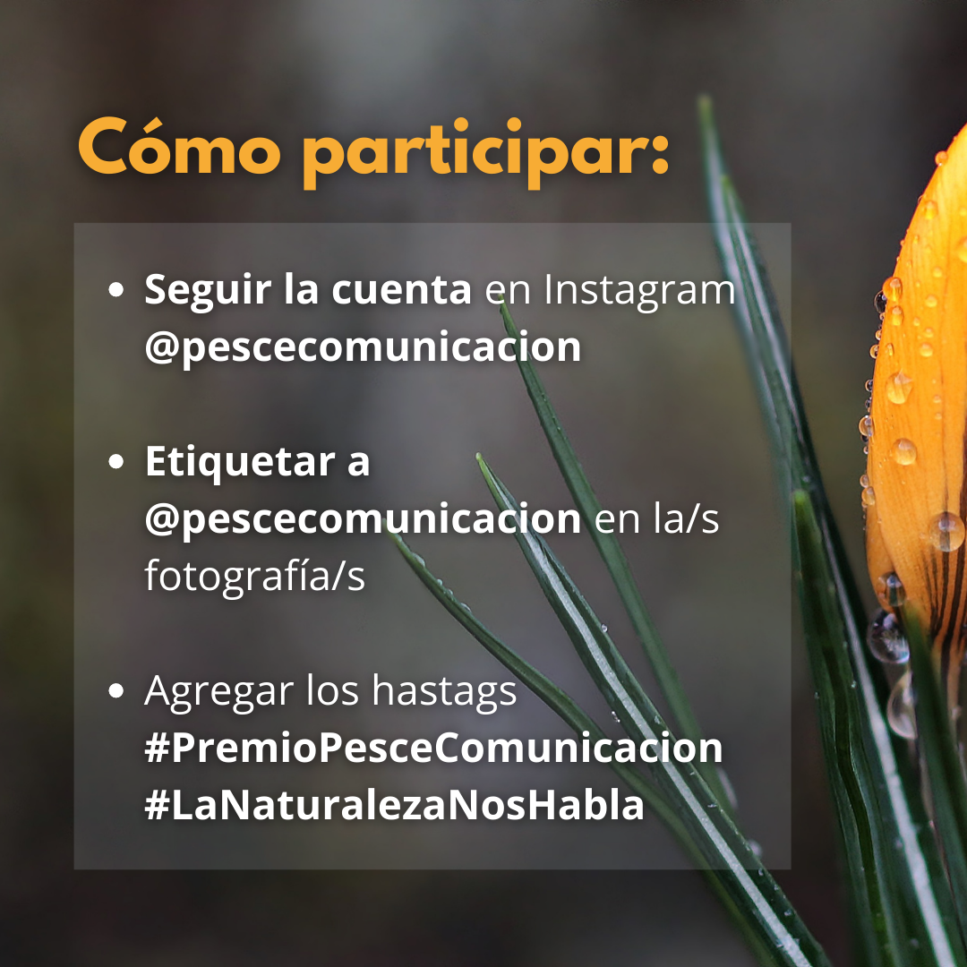 Concurso Fotográfico "La Naturaleza Nos Habla"