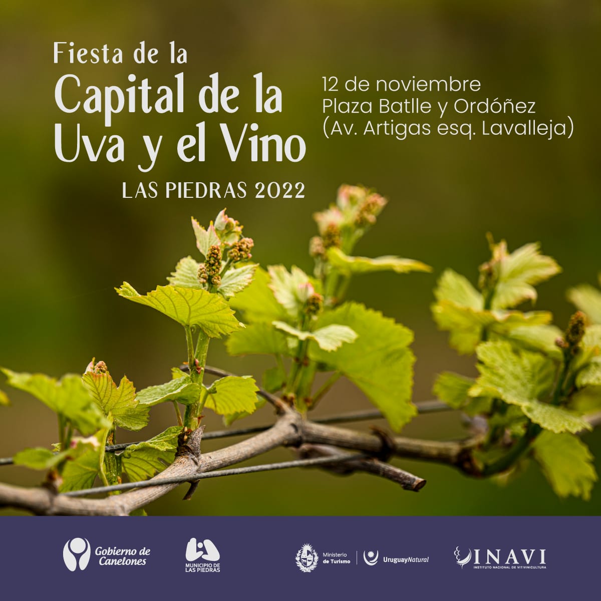 Fiesta de la Capital de la Uva y el Vino