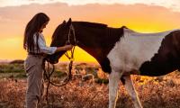 ¿Cómo viajar desde casa? Una chica acariciando un caballo al atardecer
