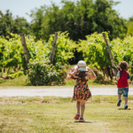Niños en un viñedo 