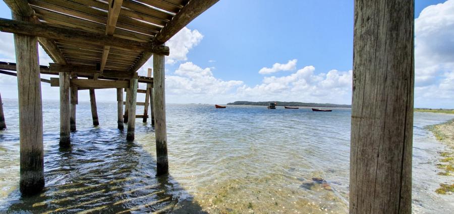 Laguna de Rocha