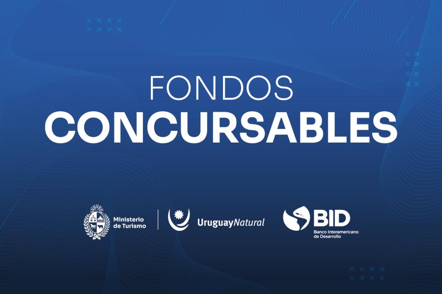 Afiche fondos