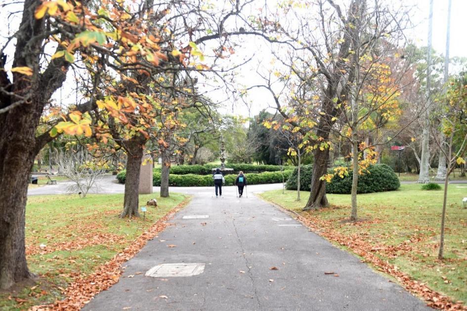 Jardín Botánico IMM