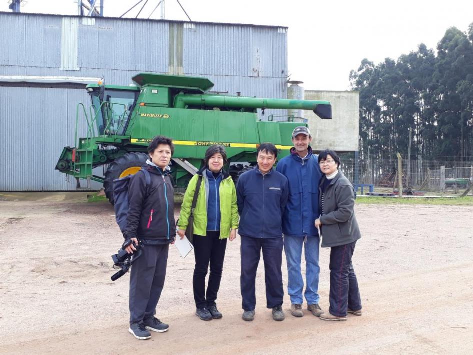 Integrantes de Akita TV recorriendo producción de arroz japonés en tierra uruguaya