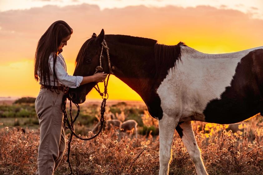 Una chica acariciando un caballo al atardecer