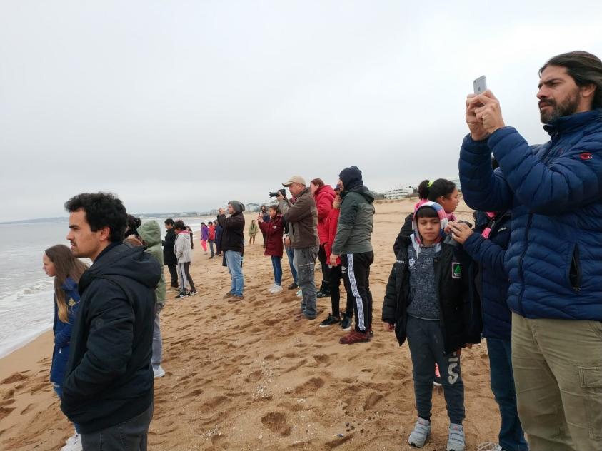 Niños y adolescentes avistando ballenas desde la arena de la playa Mansa