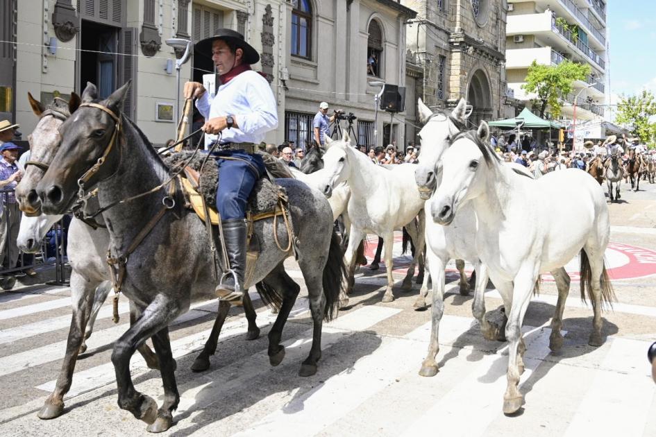 Desfile de jinetes, Fiesta de la Patria Gaucha, Tacuarembó