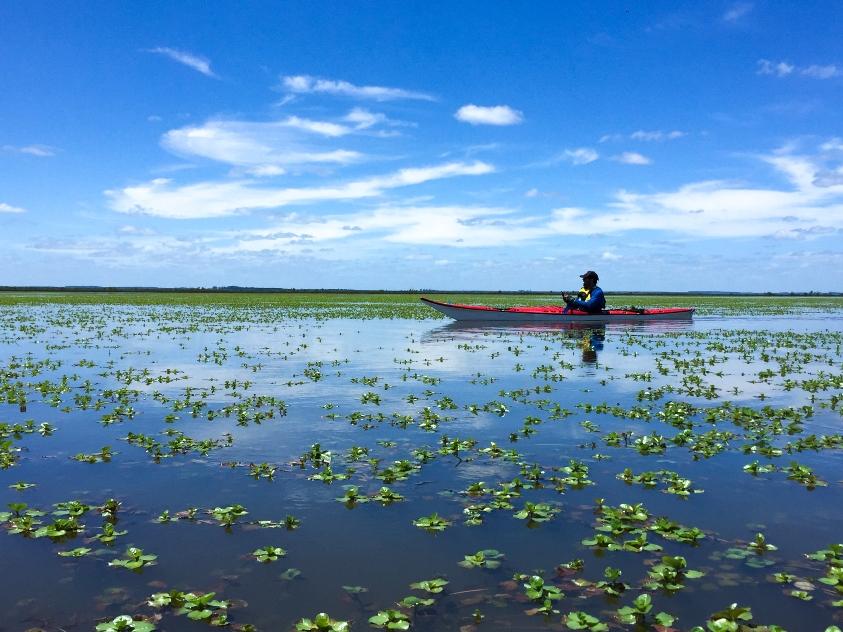 Paisaje del Corredor Esteros de Farrapos, una persona navegando en Kayak