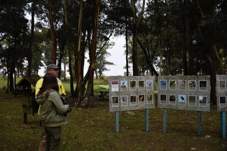 Selänniemi con guía y panel de avistaje de aves en Grutas del Palacio 