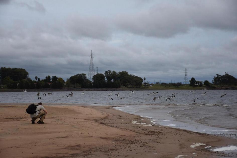 Vista panorámica de la playa y aves en Rincón del Bonete que son fotografiadas por Selänniemi