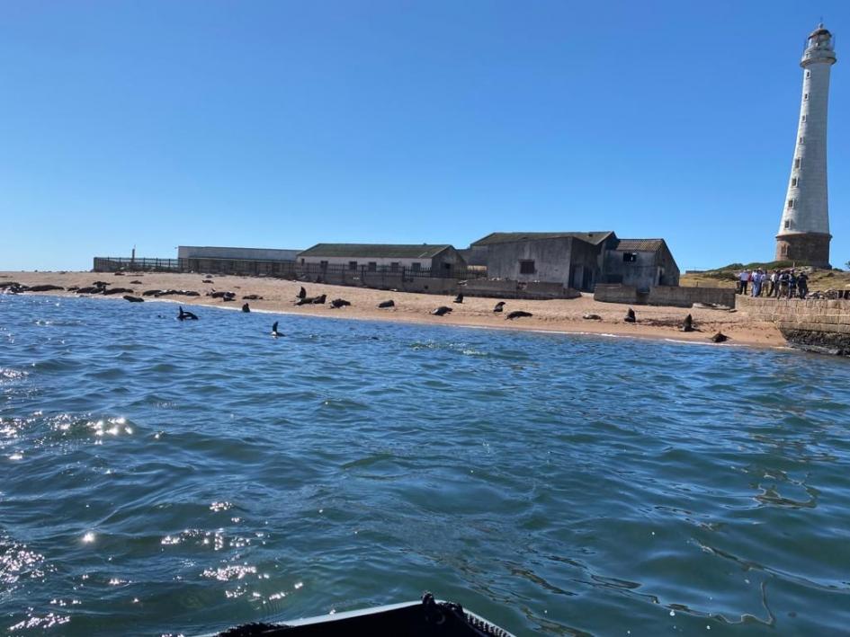 Isla de Lobos, Punta del Este, Maldonado Isla de Lobos, Punta del Este, Maldonado