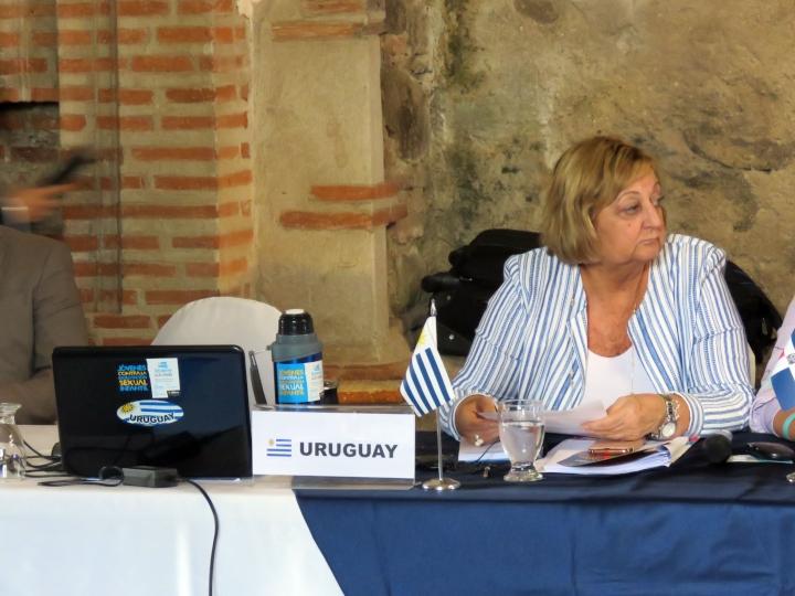 Ministra Liliam Kechichian Ministra Liliam Kechichian exponiendo