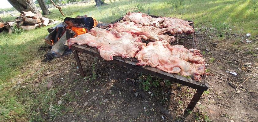 Parrilla en estancia "La Julia" Parrilla en estancia "La Julia"