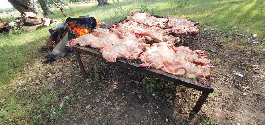 Parrilla en estancia "La Julia"