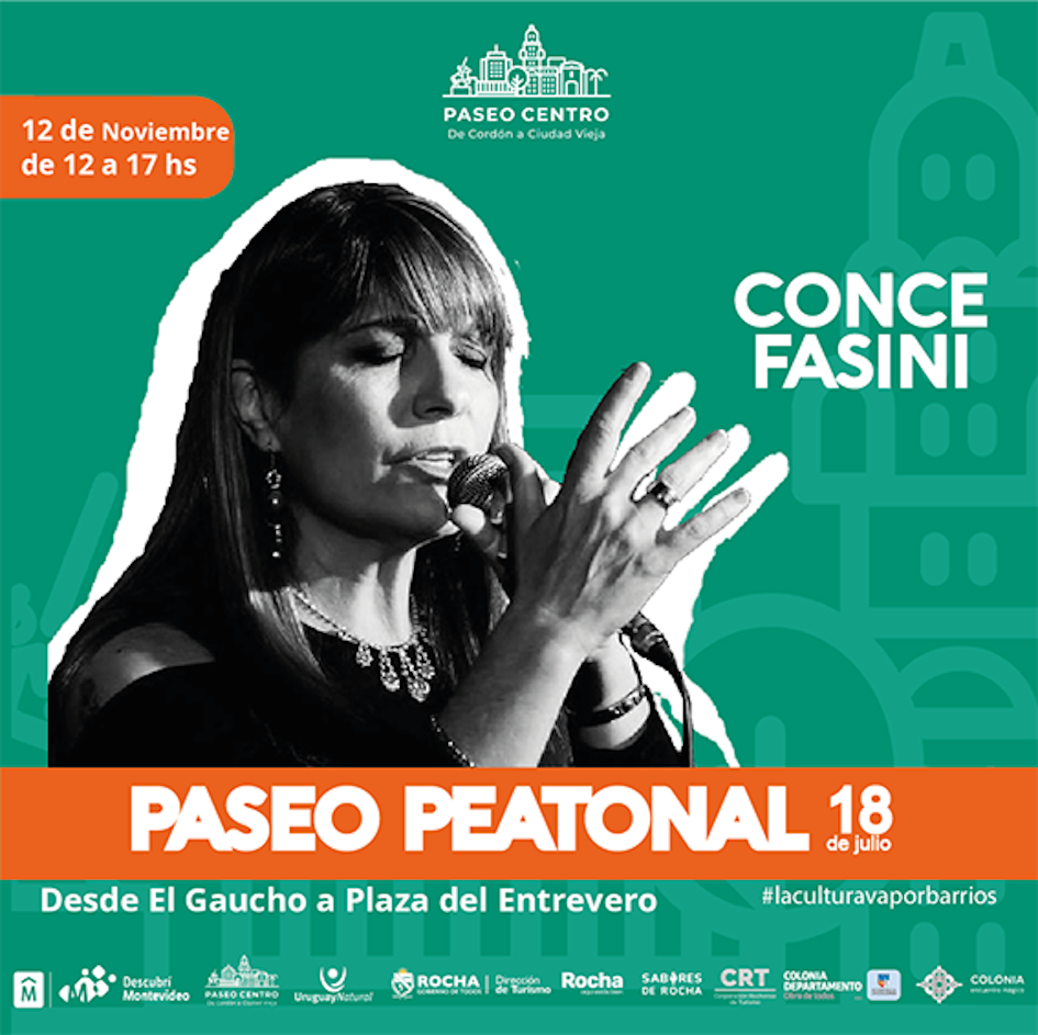 Paseo Centro Conce Fasini