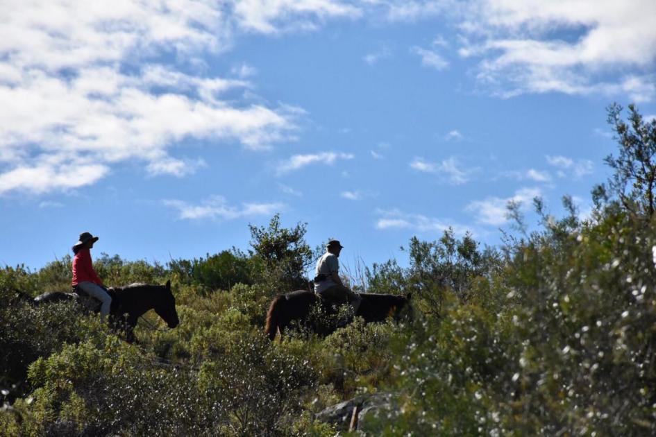 Cabagaltas en Quebrada de los Cuervos