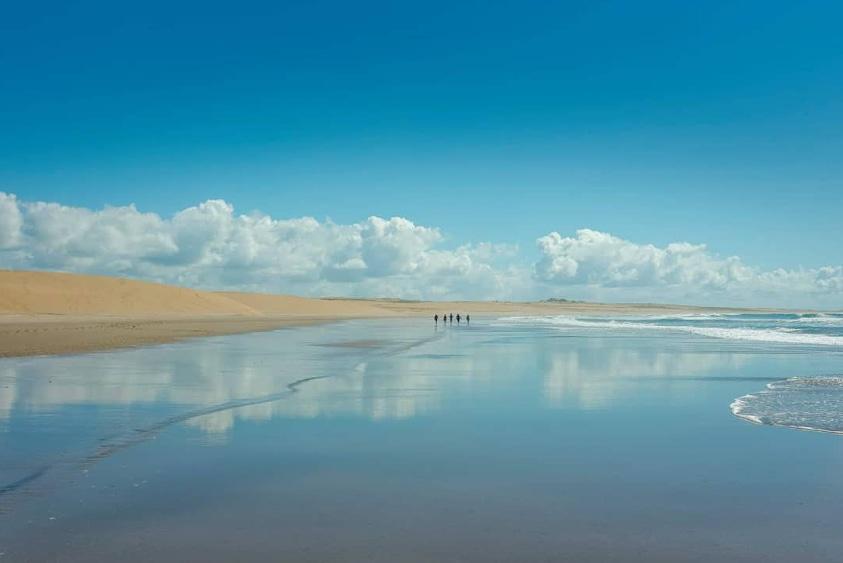 Premio Intendencia de Rocha, Daniela Hernández, por su foto “Esa magia de cada visita al Cabo”.