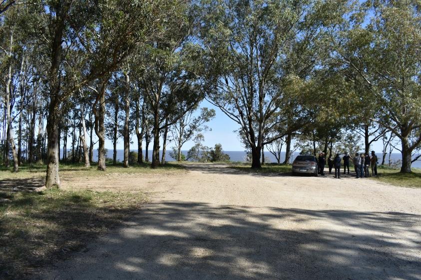 Sitio donde se instalará el futuro sendero ecoarqueológico en las barrancas de San Gregorio, Kiyú Sitio donde se instalará el futuro sendero ecoarqueológico en las barrancas de San Gregorio