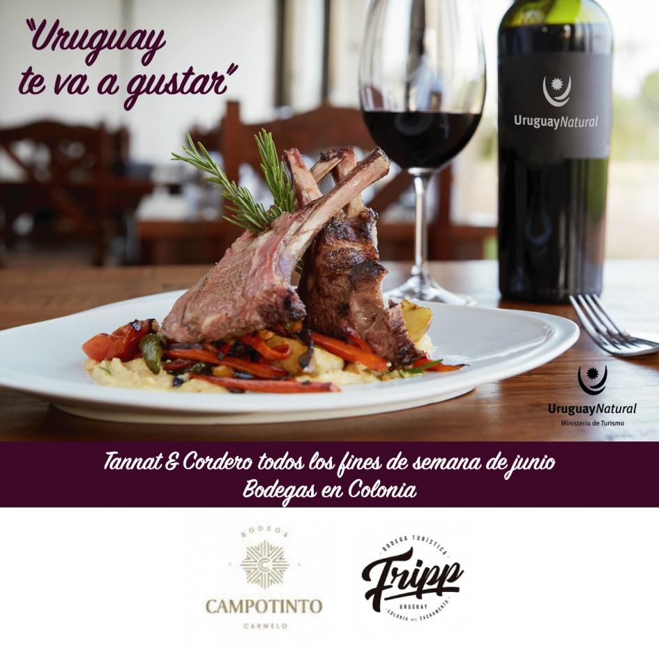Tannat & Cordero todos los fines de semana de junio, en bodegas de Colonia Tannat & Cordero todos los fines de semana de junio, en bodegas de Colonia