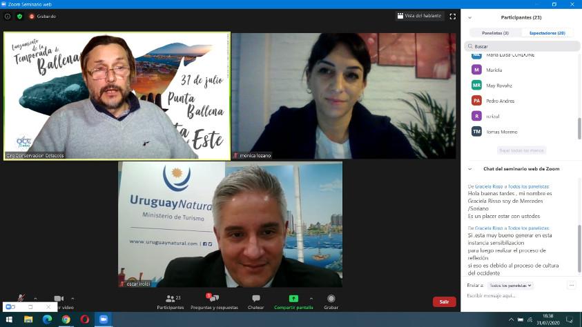 Webinar Ballena Franca (2) Webinar Ballena Franca (2)