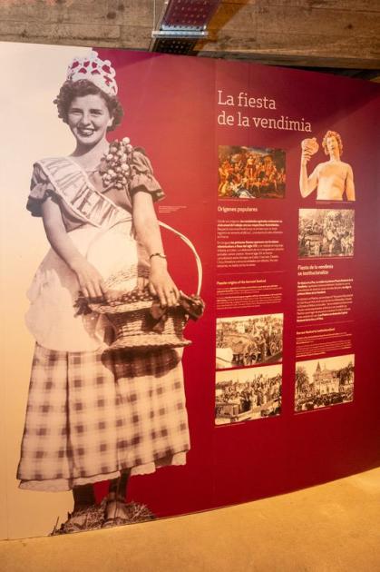 Cultivando Soberanía - Museo de la Uva y el Vino Cultivando Soberanía - Museo de la Uva y el Vino