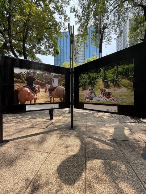 Muestra Fotográfica 