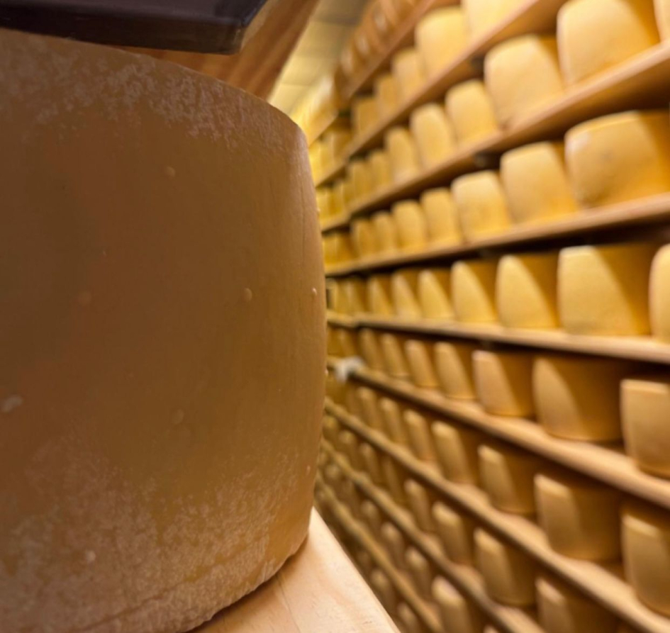 Ruta del Queso es beneficiaria del Fondo Conjunto de Cooperación Uruguay – México Ruta del Queso es beneficiaria del Fondo Conjunto de Cooperación Uruguay – México