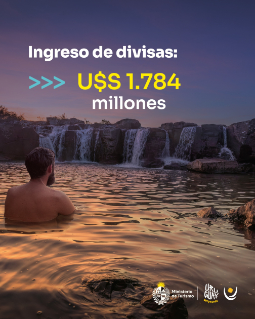 Ingreso de divisas 