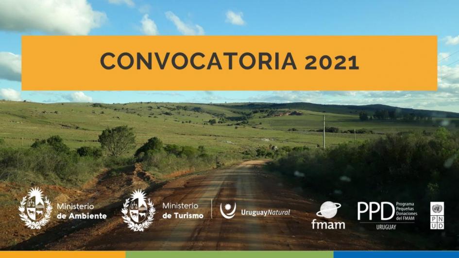 Convocatoria PPD Convocatoria PPD