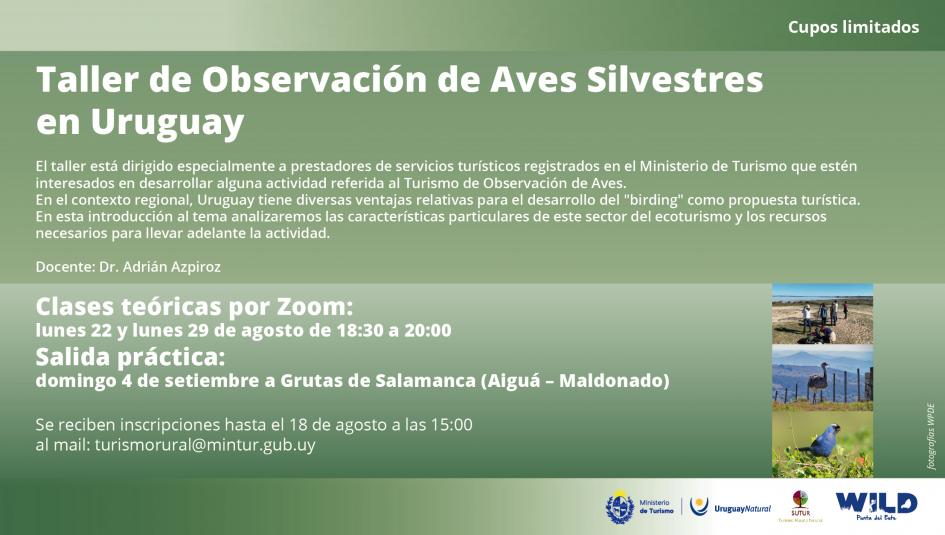 Taller de Observación de Aves Silvestres en Uruguay Taller de Observación de Aves Silvestres en Uruguay