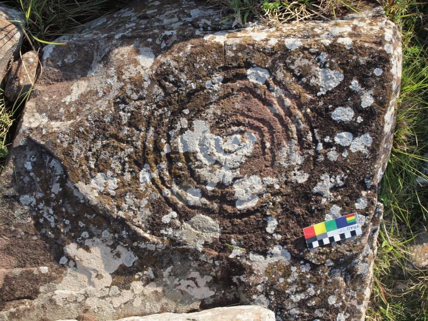 Petroglifo hallado en la zona de Salto 