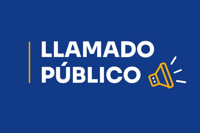 Llamado