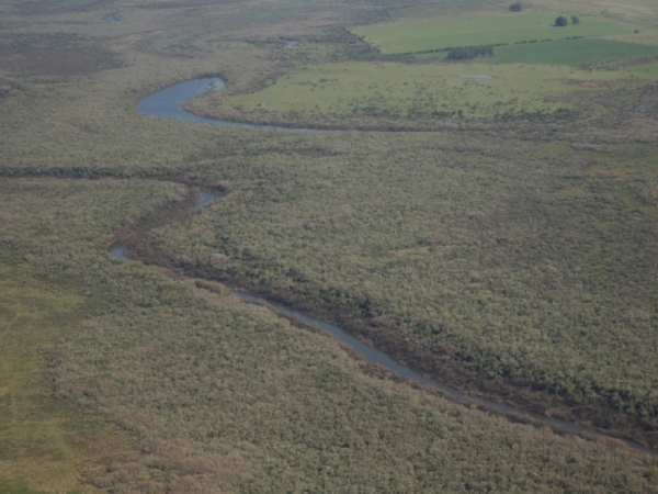Imagen aéra de bosque tupido atravesado por un río