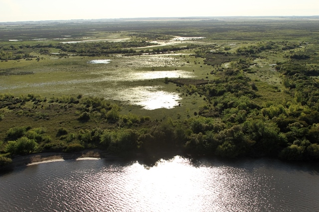 Imagen aérea de las islas del Río Uruguay a la altura del área protegida