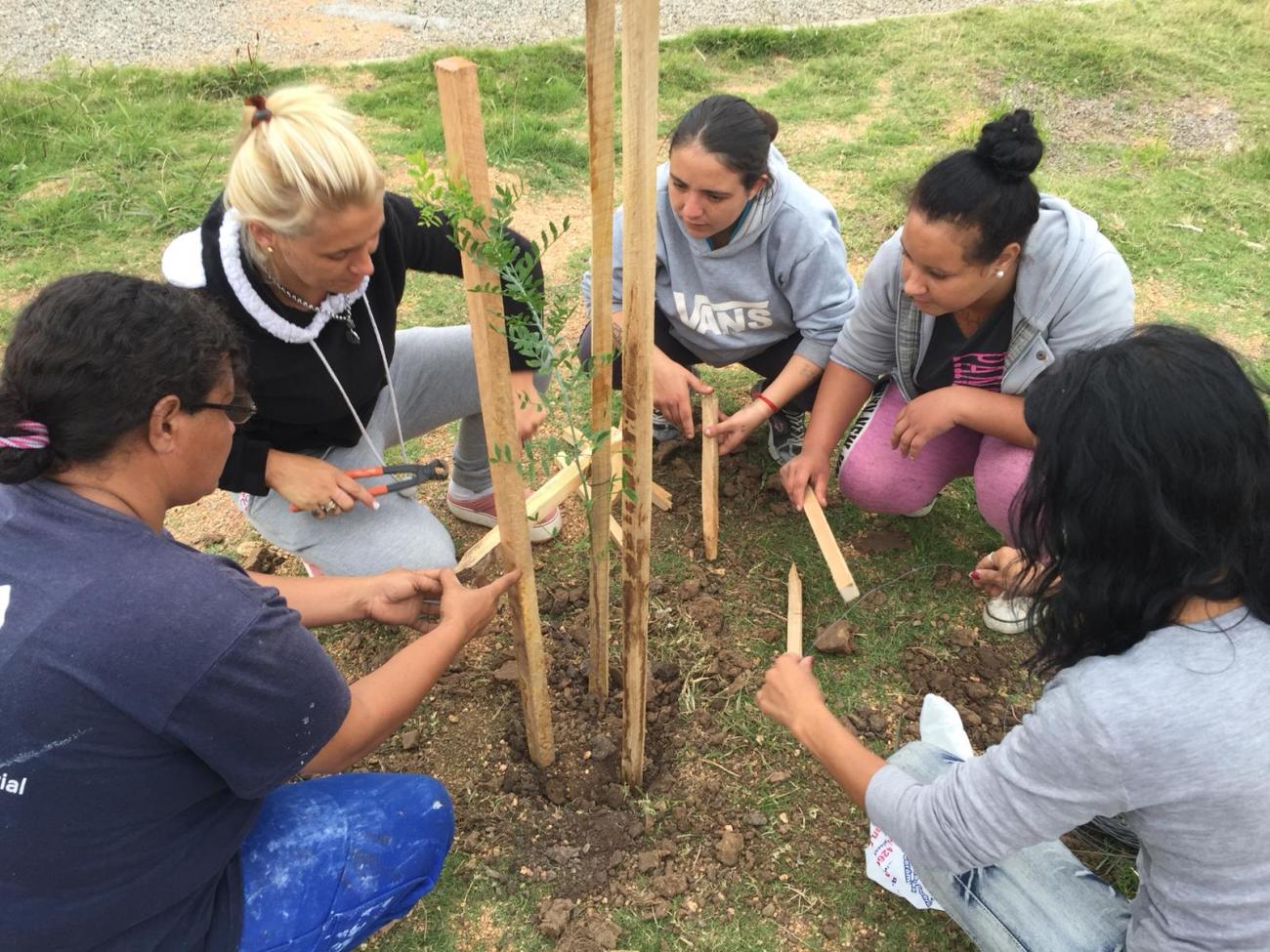 Proyectos comunitarios