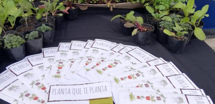 Actividad en el marco del Proyecto Planta que te Planta