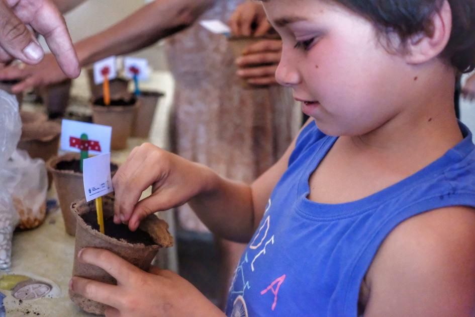 Taller de huerta Taller de huerta