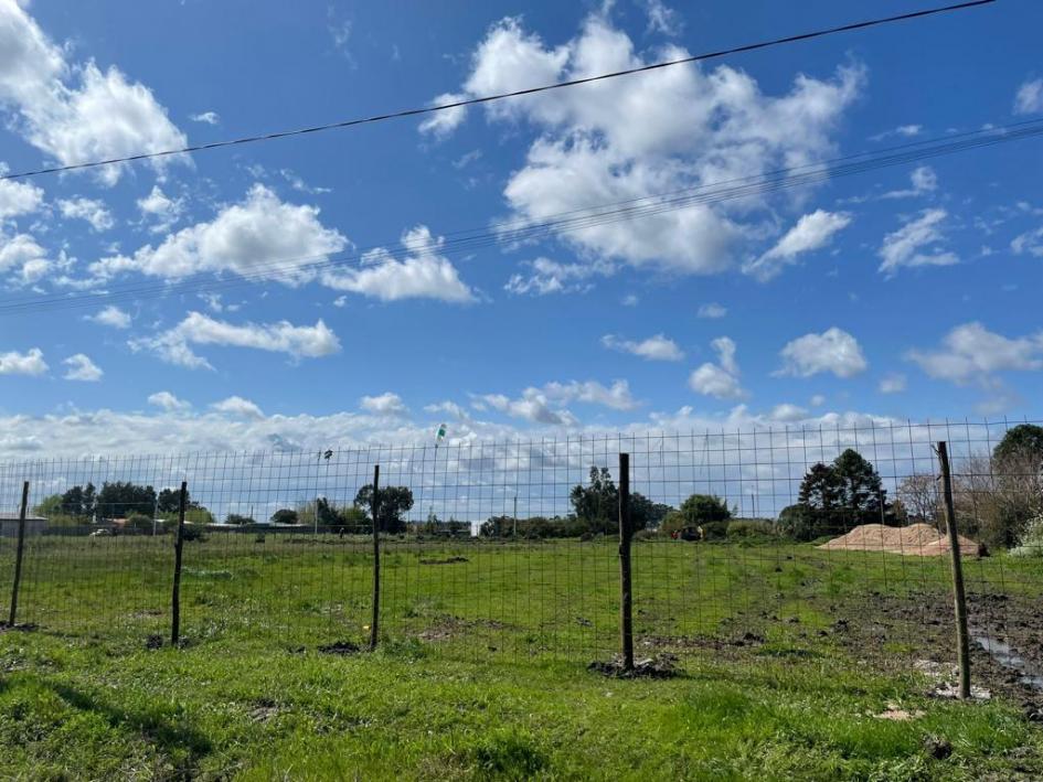 Predio en el que se construirán las nuevas viviendas Predio en el que se construirán las nuevas viviendas