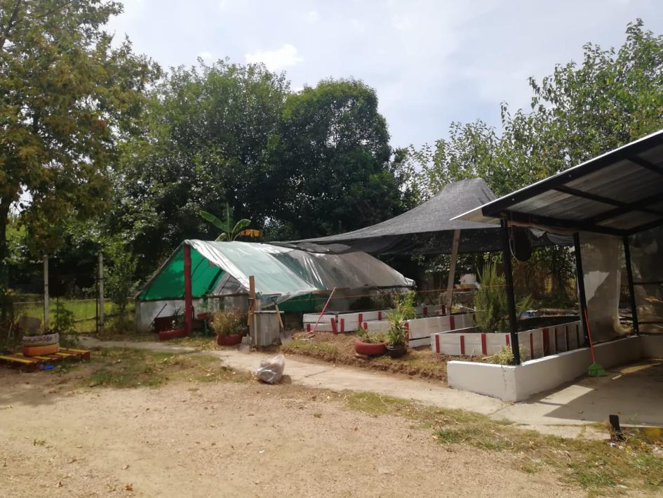 Vista de la huerta antes de las obras de acondicionamiento realizadas por Juntos Vista de la huerta antes de las obras de acondicionamiento realizadas por Juntos