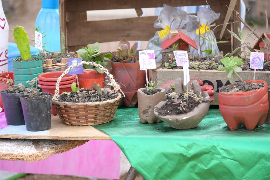 Stand de plantas 27 aniversario del Barrio Cotravi
