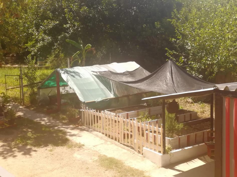 Huerta acondicionada Huerta acondicionada