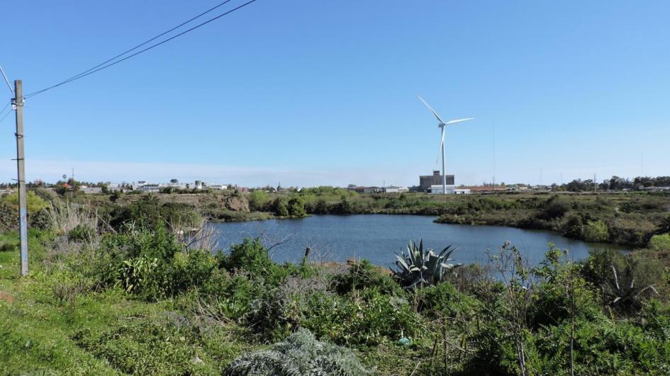 Aárea donde se realizará el Ecoparque, donde se ve laguna, con molino y algunas edificaciones atrás