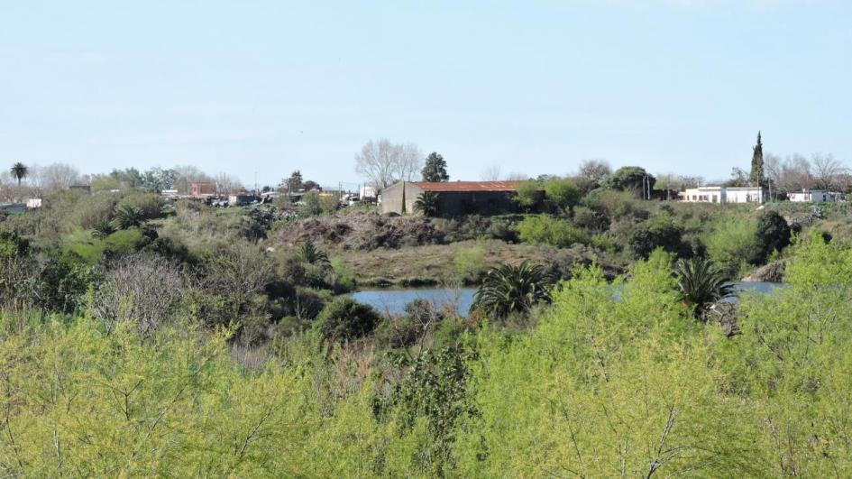 Otra perspectiva del área donde se ve un poco de agua, largos pastizales y edificaciones al fondo