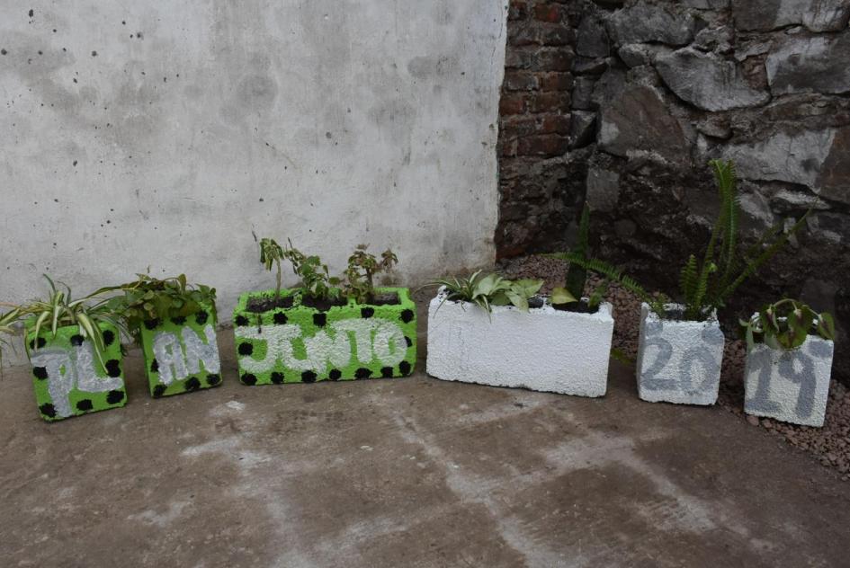 Plan Juntos Plantas