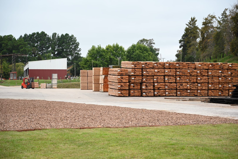 En gira por el norte del país, ministra Tamara Paseyro y Directores Nacionales del MVOT Madera