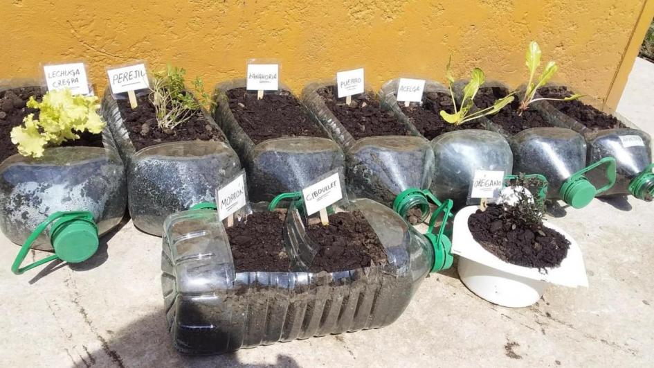 Huerta comunitaria en Capra Huerta comunitaria en Capra