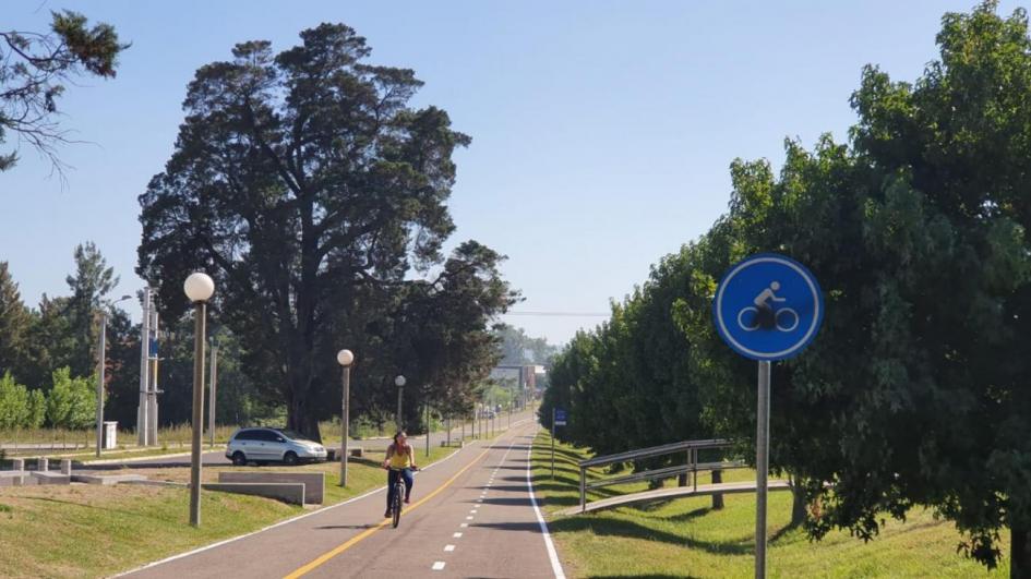 Se ver ruta y bicisenda con mujer andando en bicicleta 